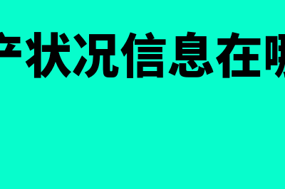 企业资产状况信息怎么填(企业资产状况信息在哪里查询)