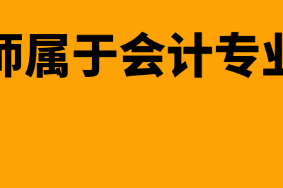 总会计师属于会计人员吗(总会计师属于会计专业职务吗)