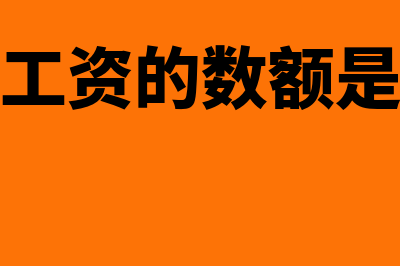 计提工资的数额如何计提(计提工资的数额是多少)