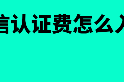 CIA是指什么会计考试(会计的ca是什么意思)