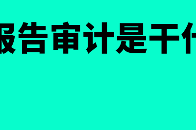 财务报告审计是怎样的(财务报告审计是干什么的)