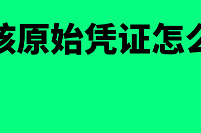 复核原始凭证怎样进行(复核原始凭证怎么填)