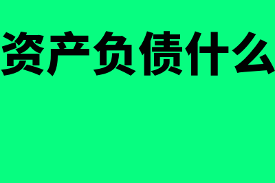 资产负债额是何种意思(资产负债什么)