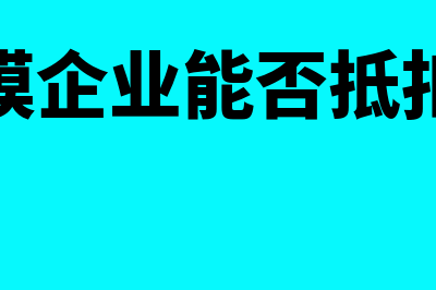 小规模企业能否开专票(小规模企业能否抵扣进项)