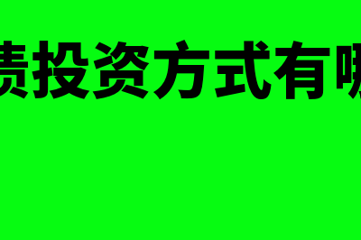 负债投资类是怎么回事(负债投资方式有哪些)