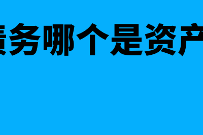 债权与负债区别在哪里(债权和债务哪个是资产?哪个是负债?)