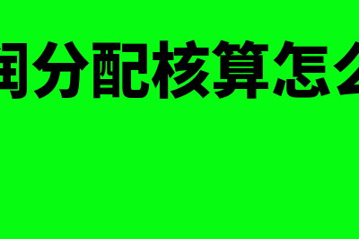 利润分配核算怎么操作(利润分配核算怎么算)