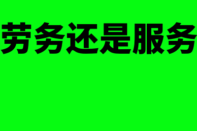 安装属于劳务还是服务(安装属于劳务还是服务开多少税率)