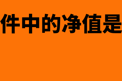 标书里的净值是指什么(招标文件中的净值是指什么)