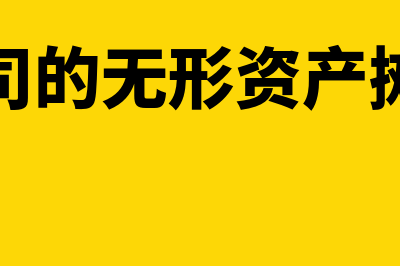 公司的无形资产如何算(公司的无形资产摊销)