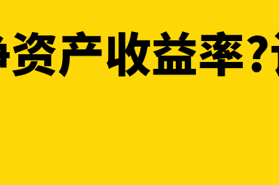 什么是净资产收益率(什么是净资产收益率?计算漓江公司)