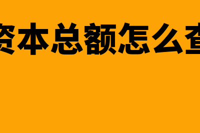 资本总额是怎么回事(资本总额怎么查)