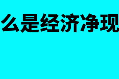 经济净现值是何意思(什么是经济净现值)