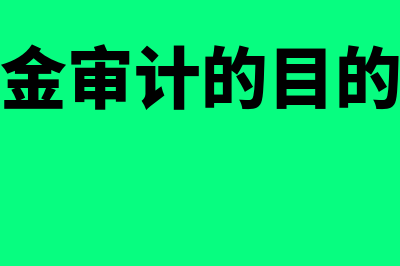 审计货币资金指什么(货币资金审计的目的是什么)