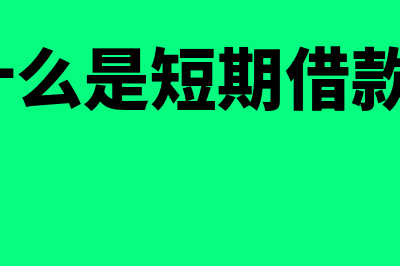 什么是短期借款报表(什么是短期借款?)