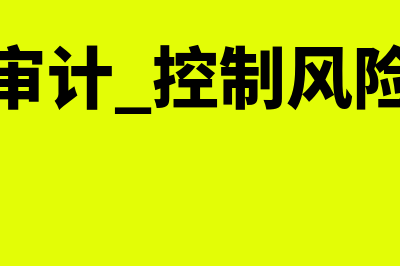 审计控制风险有哪些(审计 控制风险)