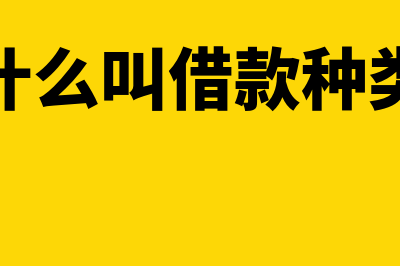 借款种类分为什么(什么叫借款种类)