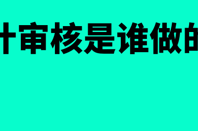 哪个审核会计凭证(会计审核是谁做的啊)