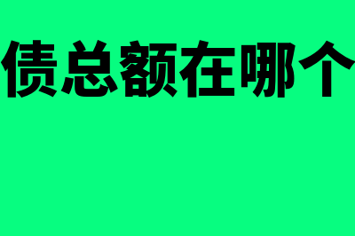 负债总额如何核算(负债总额在哪个表)