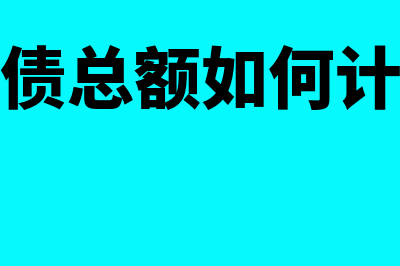 负债总额如何计算(负债总额如何计税)