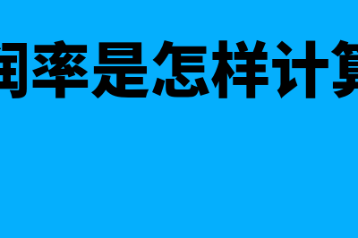 利润率是怎么计算(利润率是怎样计算的)