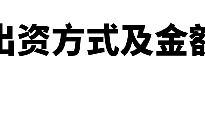 出资方式有多少种(出资方式及金额)