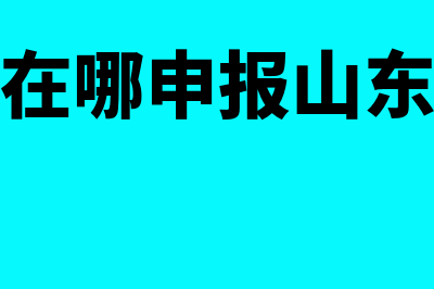 工会经费在哪申报(工会经费在哪申报山东电子税务局)