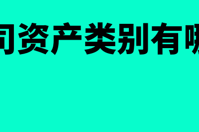 公司资产包括什么(公司资产类别有哪些)