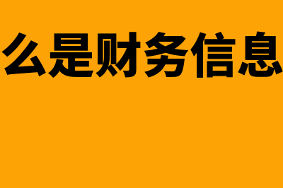 什么是财务信息(什么是财务信息化)