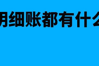 明细账的用途(明细账都有什么)