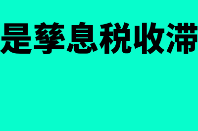 什么是孳息(什么是孳息税收滞纳金)