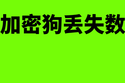 财务软件加密狗适合什么插口(财务软件加密狗丢失数据会丢失吗?)