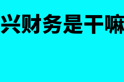 超市适合什么财务软件(超市适合卖什么产品)