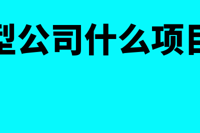 小型公司有什么财务软件(小型公司什么项目好)