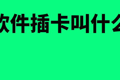 财务软件插卡叫什么名字(财务软件插卡叫什么名称)