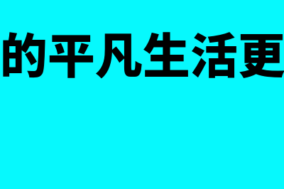 刘会计用的什么财务软件(刘会计的平凡生活更新视频)