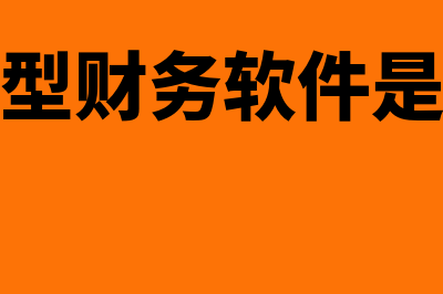 管理型财务软件有什么功能(管理型财务软件是什么)