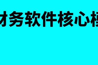 小厂一般用什么财务软件(小厂一般用什么机器)