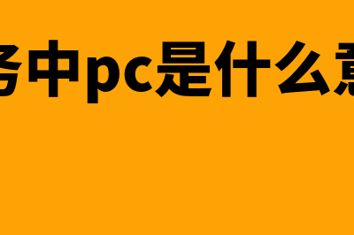 担保人用什么财务软件(担保人用什么财产抵押)