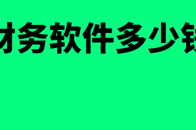 外国用什么财务软件记账(国外的财务公司的资金运用主要是)