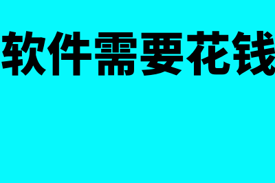 购买财务软件买什么好(财务软件需要花钱买吗)