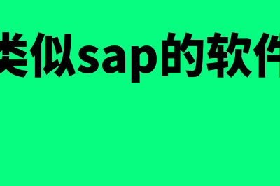 除了sap还有什么财务软件(类似sap的软件)