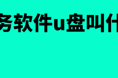 做财务软件用什么语言(财务软件用来做什么)