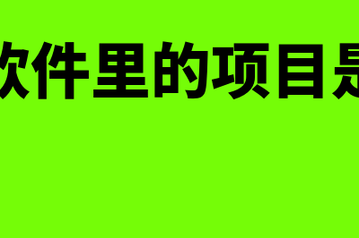 财务软件里的项目大类指什么(财务软件里的项目是什么)