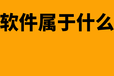 财务软件属于会计什么科目(财务软件属于什么设备)