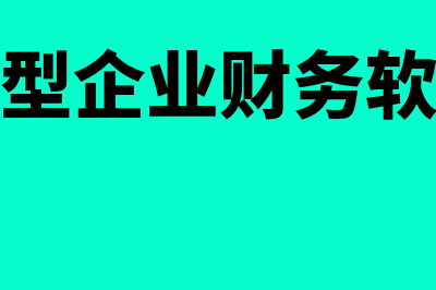 大型企业财务软件多少钱(大型企业财务软件)