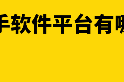 二手财务软件哪个好(二手软件平台有哪些)