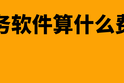 财务软件费用一般多少(财务软件算什么费用)