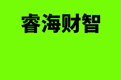 睿财a3属于哪个财务软件(睿海财智)