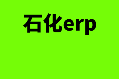 石化财务软件哪个好用(石化erp)